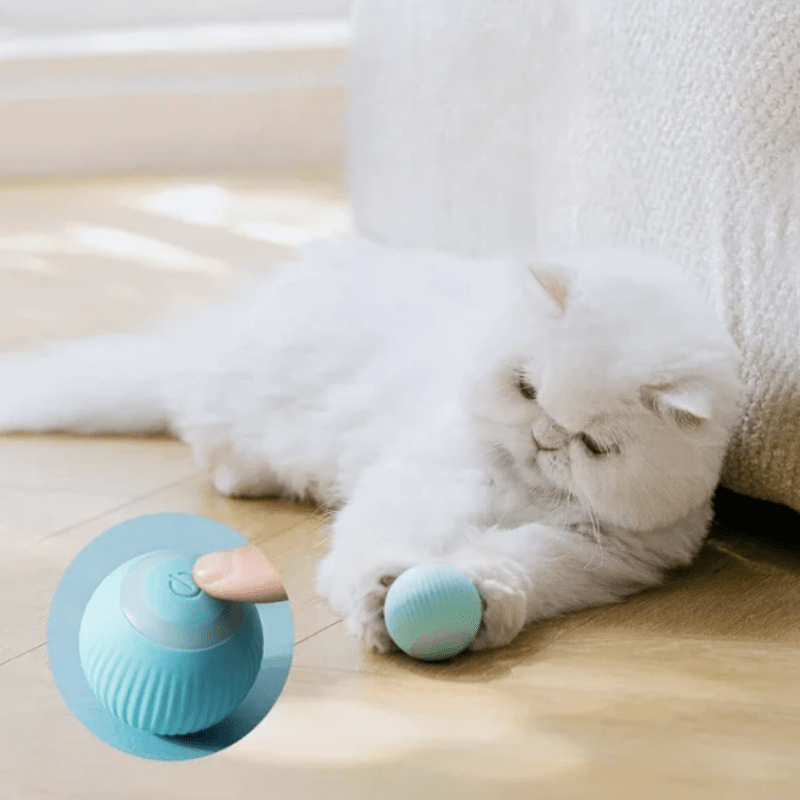 PurrRoll🐾 Automatic Smart Teasing Ball for Dogs & Cats